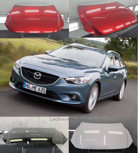 Motorhaube lackiert - lackiert, in