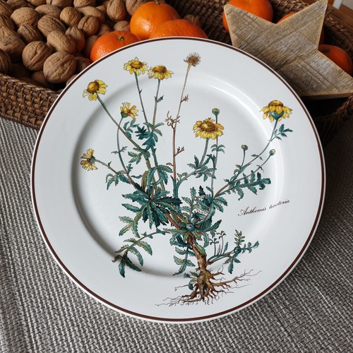Botanica speiseteller mit - speiseteller,