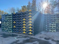 FLACHE MAGNUM CLASSIC K595 -