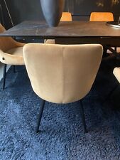 Designer Esszimmerstühle