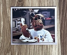 RAR  ALF - Nr. Y Panini