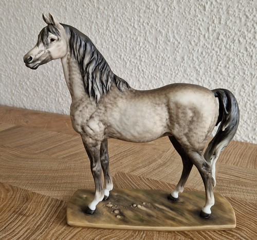 Selten araber pferd orion - selten,
