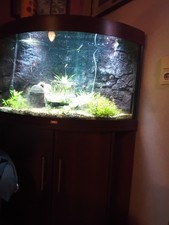 Aquarium von juwel mit - juwel,