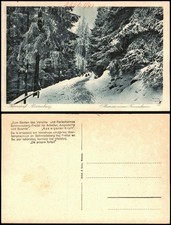 Ansichtskarte Kipsdorf-Altenberg (Erzgebirge) Bärenburg Winter Rodelbahn 1928