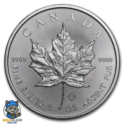 Unze silber maple leaf 2026 - silber,
