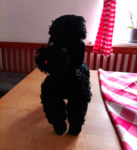 Steiff pudel snobby - pudel,