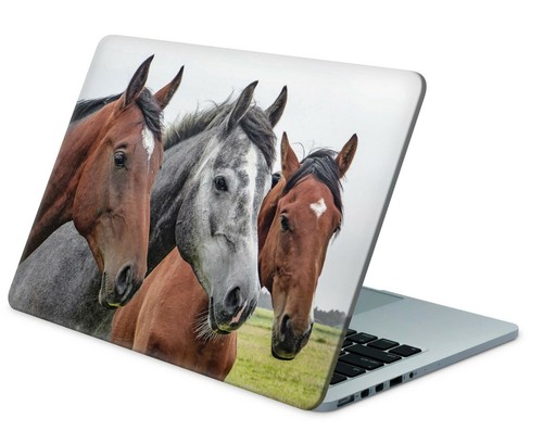 Universal laptop skin notebook - laptop,