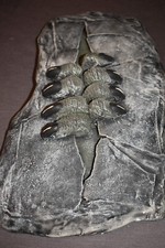 Wand Relief Monster -29x17cm- wahrscheinlich Gips Loki Design