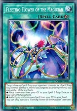 YuGiOh Fleeting Flower of the Magician DOOD-EN089 Common Englisch Neu 1st