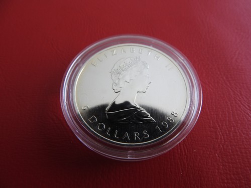 Kanada maple leaf 5 - *,