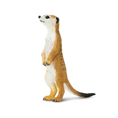 Safari ltd 224629 - ltd, erdmännchen