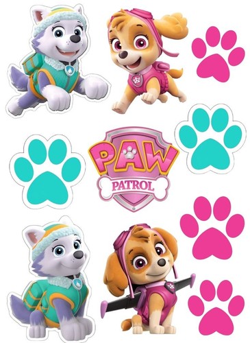 Paw patrol ryder hunde - ryder,