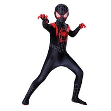 Karneval Spiderman Cosplay