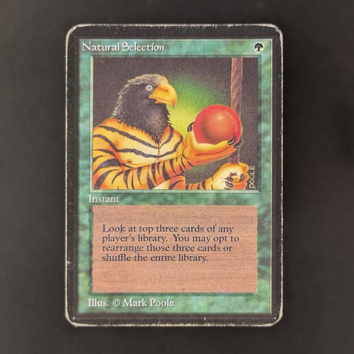 Mtg natural selection - \>>, (pl)