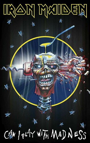 Iron maiden flagge fahne can - iron,