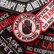 Service Dog Therapy DO NOT PET