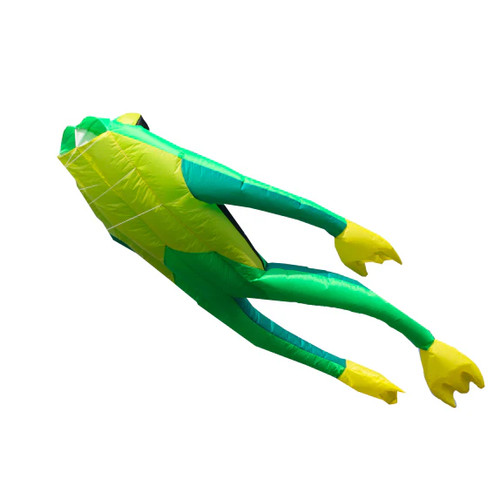 Einleiner drachen - einleiner,