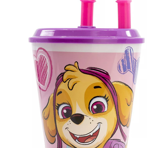 Paw patrol skye - skye, everest