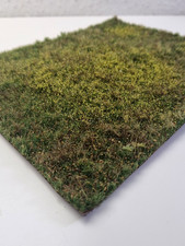 Polak 4703  Wiese ungepflegt