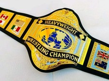 Authentic  WWE Pro Wrestling