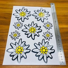 9x Edelweiß ✔ Gebirge ✔