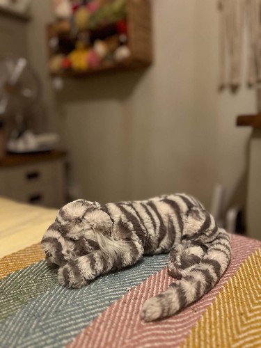 Jellycat little sasha - jellycat,