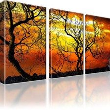 Horizont Bäume Natur Bilder 3 Teiliges Bild Leinwand Kunstdruck Deko