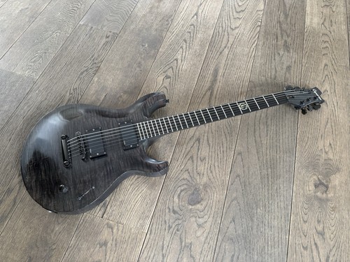 Caparison angelus hgs custom - angelus,