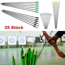 25 Fiberglaspfeile 6mm Pfeile
