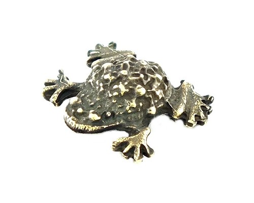 Feng shui frosch - shui, frog