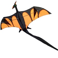 Drache Einleiner Drache Aero