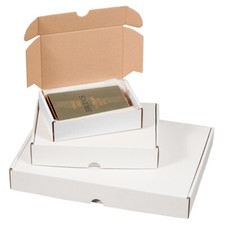 Maxibriefkartons Faltkarton