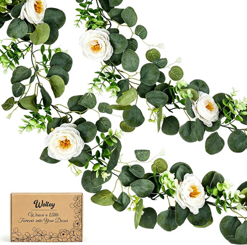 Stück eukalyptus - 2,