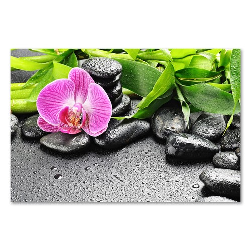 Postereck 1231 poster leinwand - 1231,