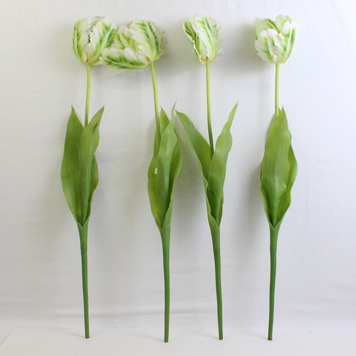 Set mit groß grün - set, weiß