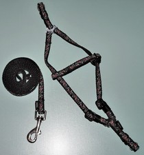 Set Trixie Leine Hundegeschirr Brustgeschirr Hundeleine Halsband Geschirr Hund