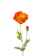 Künstlicher mohn mit knospe - mit,
