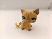 LPS Littlest Pet Shop Shorthair Cat #886 Katze