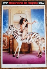 Foto-Ikonen herausragender