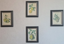 Blume Pflanze Wand Deko 4