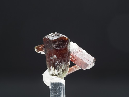 Uvit pomba pit - uvit,, serra
