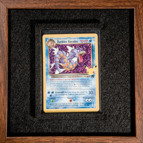 Pokemon karte dunkles - karte,