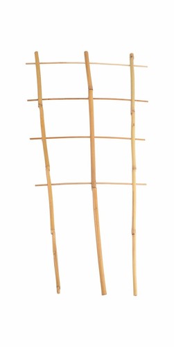 Bambus spalier 60cm - 60cm, rankhilfe