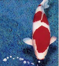 Osaga Japanmatte 300 m ²/m