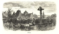 Oestrich Winkel Mittelheim