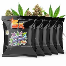 Hoch & Highlig Black Booster CO2-Beutel für Pflanzen - 5er Set - Für Indoor-Grow