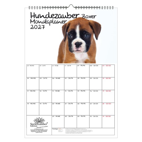 Hundezauber boxer planer - hundezauber,