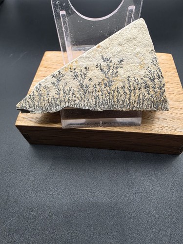 Dendriten solnhofen 7x4x1 8cm - dendriten,solnhofen, 7x4x1,8cm.