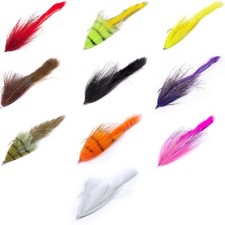 BIM CHACHA bait Jr Trailer