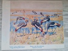 VOSS Margarine Kunstbilder